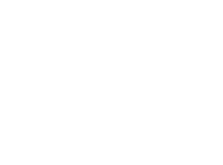 LSI site logo