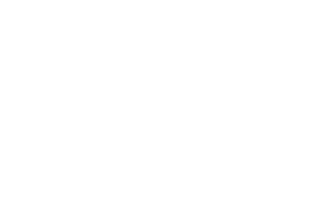 LSI site logo